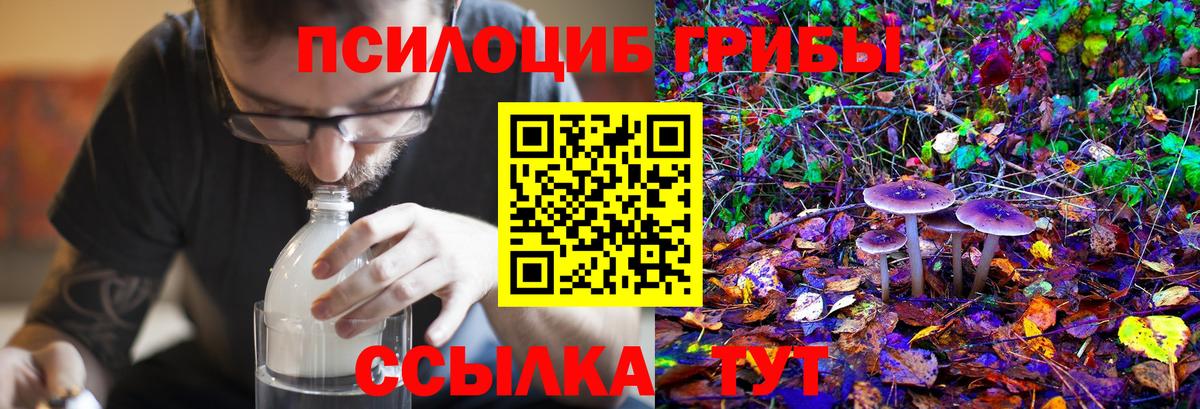 Псилоцибиновые грибы прущие грибы  Псилоцибиновые грибы Magic Shrooms  Вход с VPN  Канск 